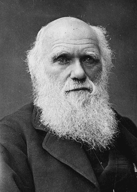 Charles Robert Darwin